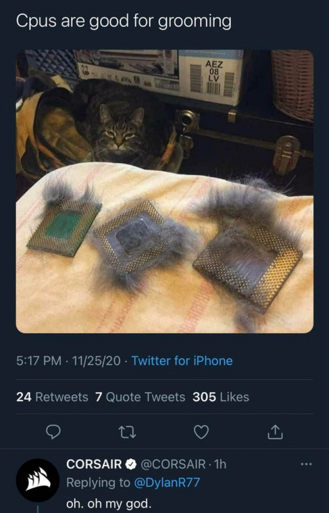 ts8rbvrm.jpg