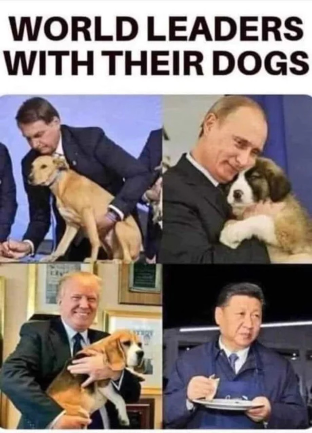 fa6zk67y.jpg