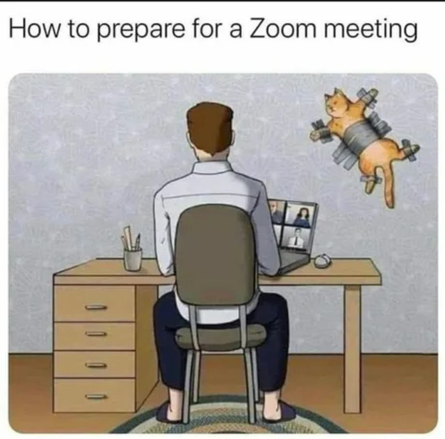 lh8ol7i6.jpg