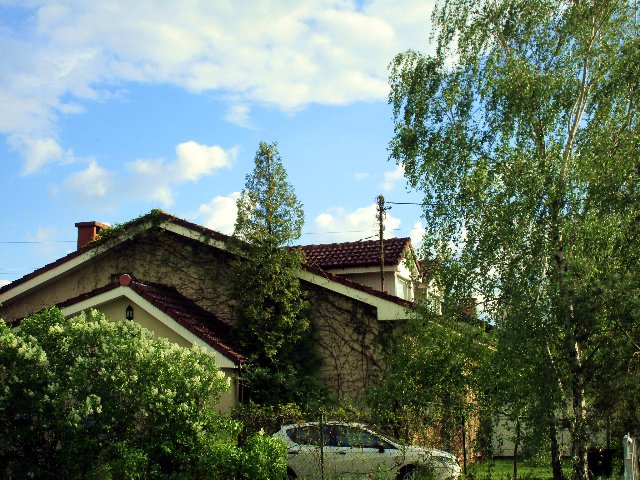 https://s20.directupload.net/images/210519/2wdliesq.jpg