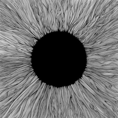 VOLA — Witness (2021)