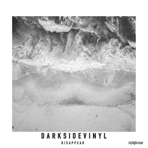 Darksidevinyl — Disappear (2021) Darksidevinyl — Disappear (2021)