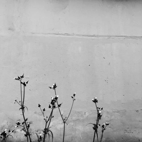 Cetculescu — Afters Are Strange EP (2021)