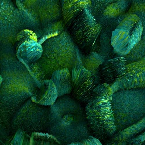 K100R — Selected Spaces (2021)