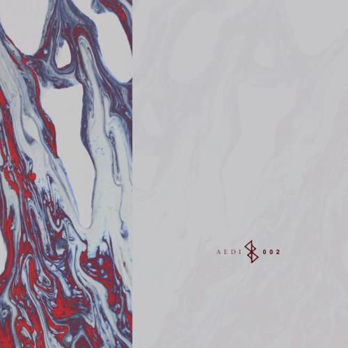 Aedi Records — Synergy (2021)