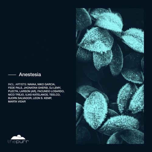The Purr — Anesthesia (2021)