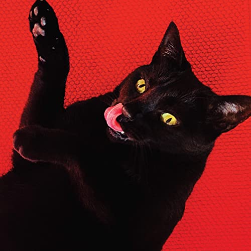 Ryan Adams — Big Colors (2021)