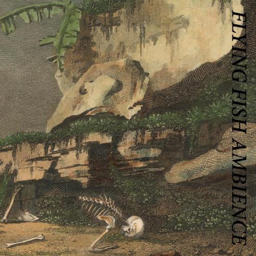 Rainforest Spiritual Enslavement — Flying Fish Ambience (2021)