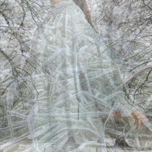 Jarr — An Echo In Her Skin (2021)