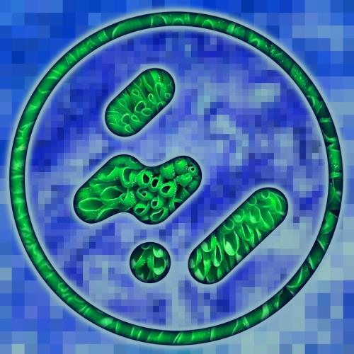 Replicants — Organic Synthetic Electronic (2021)