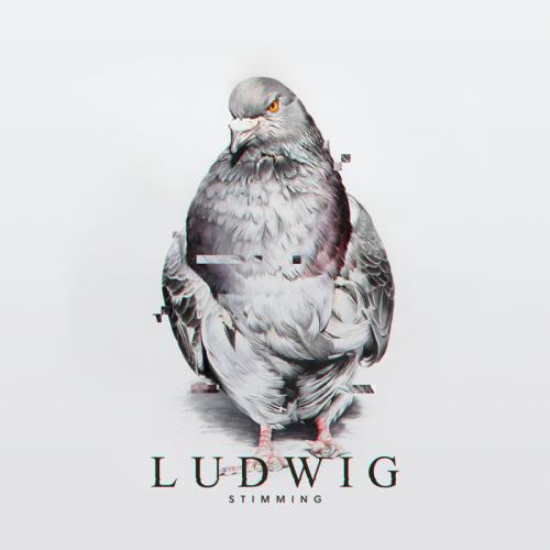 Stimming — Ludwig (2021)