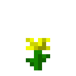 old dandelion