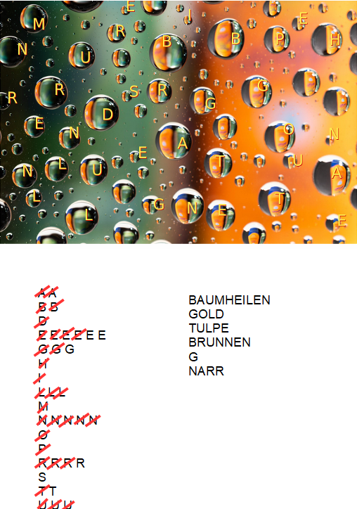 Bild
