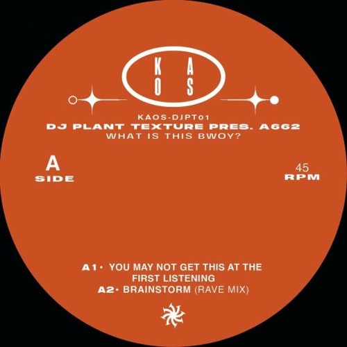 DJ Plant Texture Pres A662 - What Is This Bwoy? (2022)