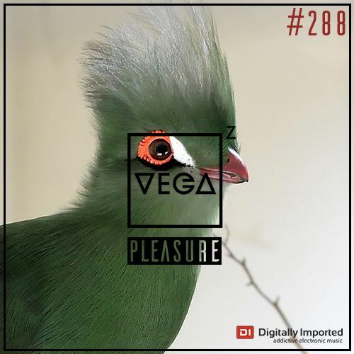 Vega Z - Pleasure 288 (2022-06-22)
