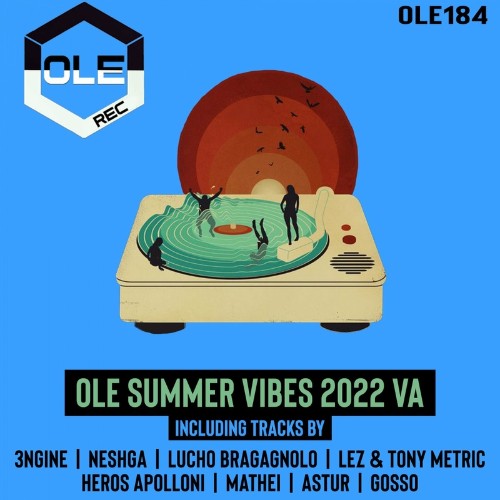 Ole Summer Vibes 2022 VA (2022)