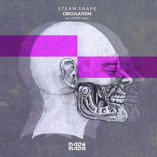 Steam Shape - Circulation (2022)