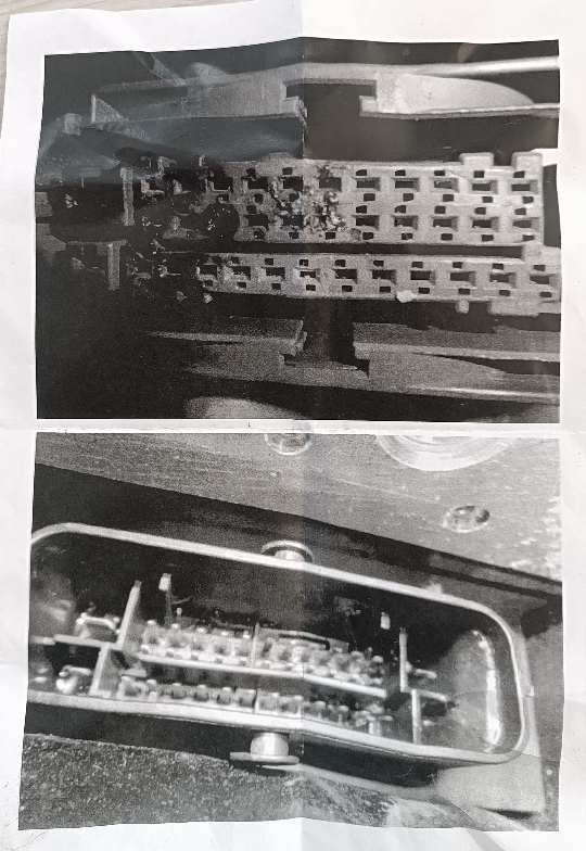shz5i5e8.jpg