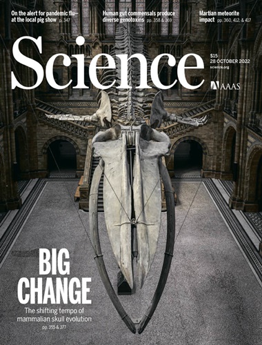 Science - Volume 378 Issue 6618, 28 October 2022