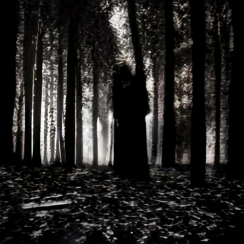 Spectral Woods - Convulsing Lunar Horror (2023) MP3