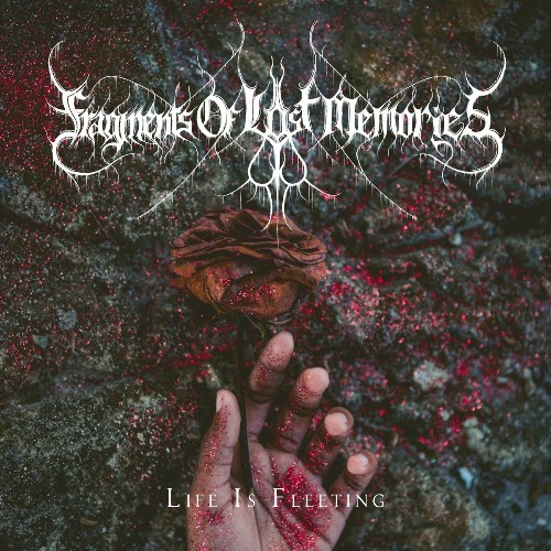 Fragments of Lost Memories - Life is Fleeting (2023) MP3