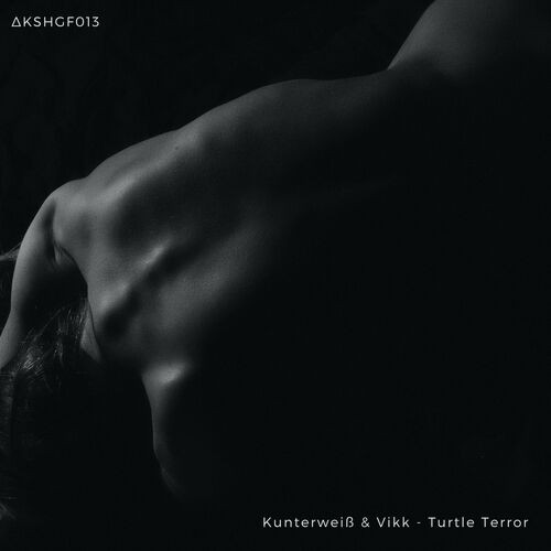 Kunterweiß & Vikk - Turtle Terror (2023) MP3