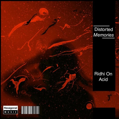 Distorted Memories - Ridhi on Acid (2023) MP3