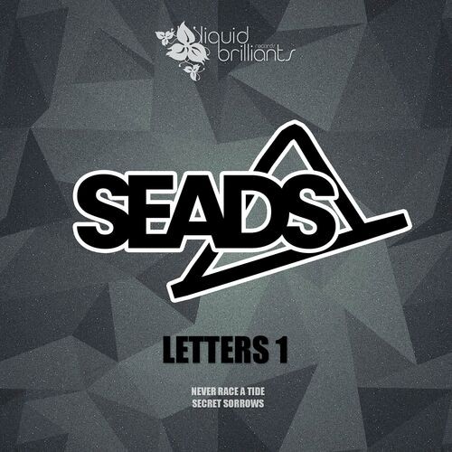  Seads - Letters 1 (2023) 