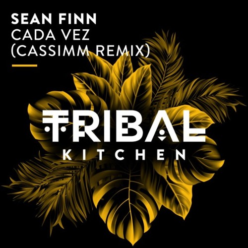 Sean Finn - Cada Vez (CASSIMM Remix) (2023) 