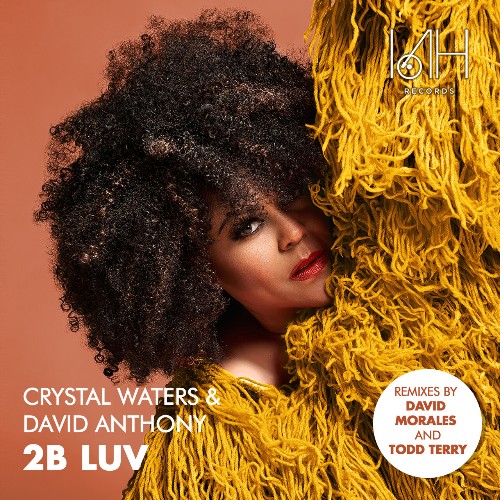  Crystal Waters & David Anthony - 2B Luv Part 3 (2023) 