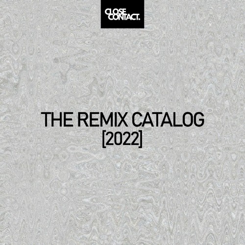  The Remix Catalog 2022 (2023) 