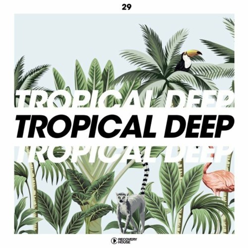 Tropical Deep, Vol. 29 (2023) 