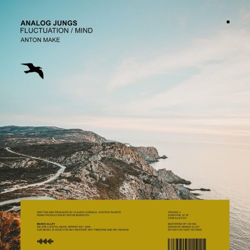 Analog Jungs - Fluctuation / Mind (2023) MP3
