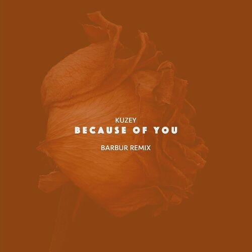 Kuzey - Because of You (Barbur Remix) (2023)