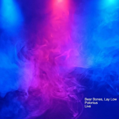  Bear Bones & Lay Low & Polonius - Live (2023) 