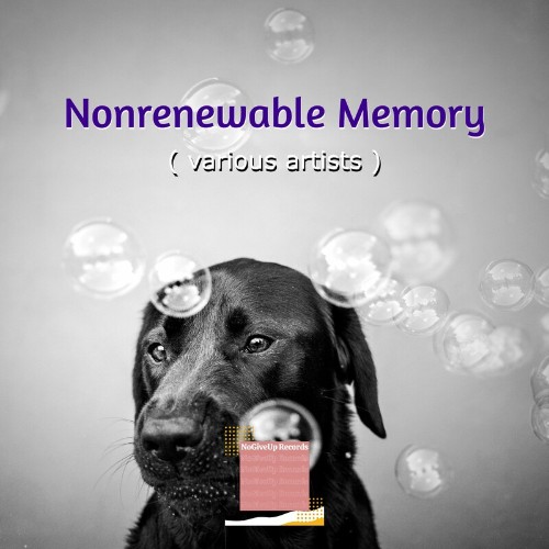  Nogiveup - Nonrenewable Memory (Original Mix) (2023) 