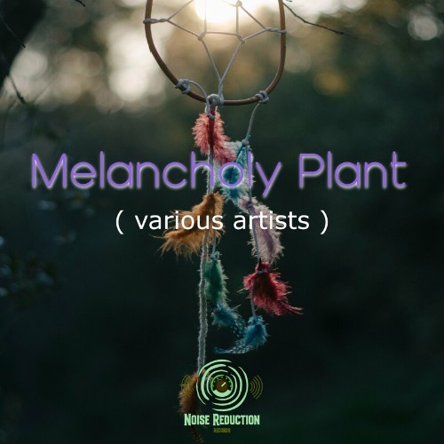  Noise Reduction - Melancholy Plant (2023) 
