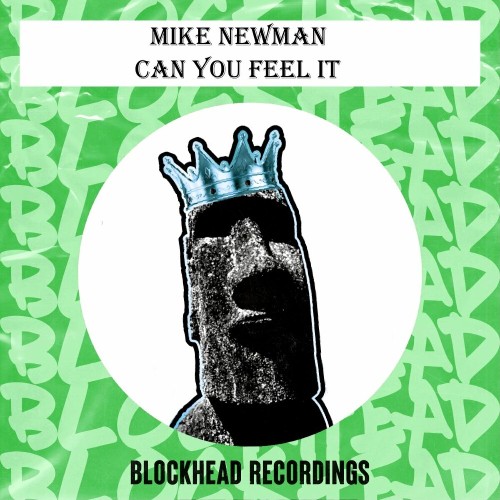  Mike Newman - Can You Feel It (2023) 