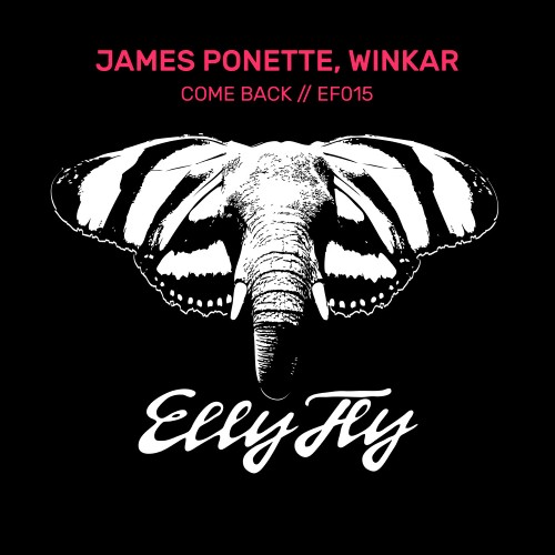 VA - James Ponette & Winkar - Come Back (2023) (MP3)