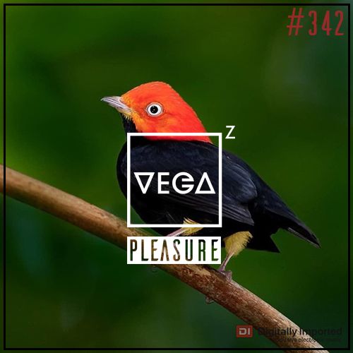  Vega Z - Pleasure 342 (2023-08-30) 
