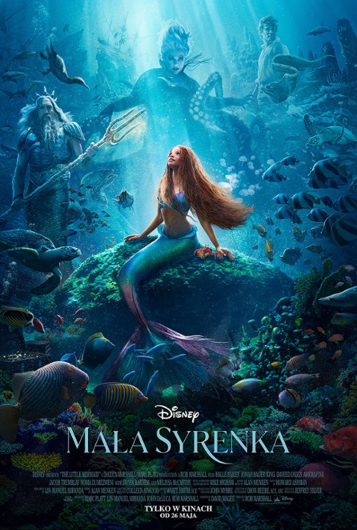 Mała syrenka / The Little Mermaid (2023) PLDUB.720p.BDRip.XviD.AC3-OzW / Dubbing PL