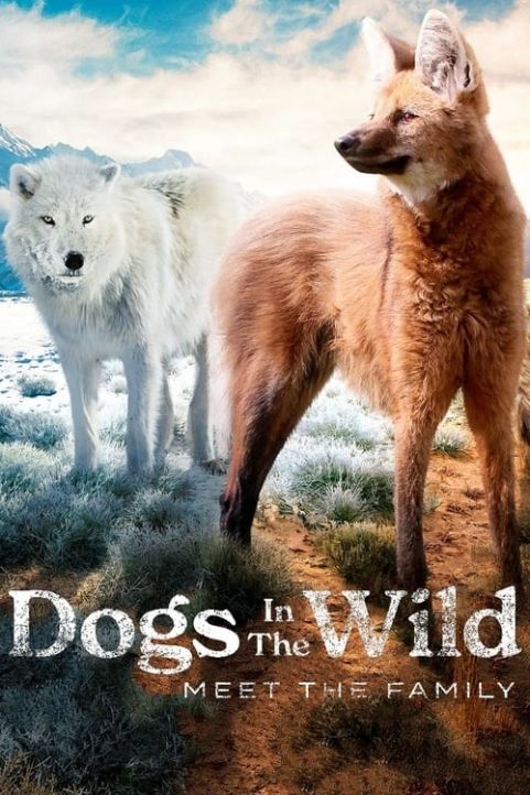 Dzikie psy / Dogs in the Wild: Meet the Family (2022) [SEZON 1 ] PL.1080i.HDTV.H264-B89 / Lektor PL