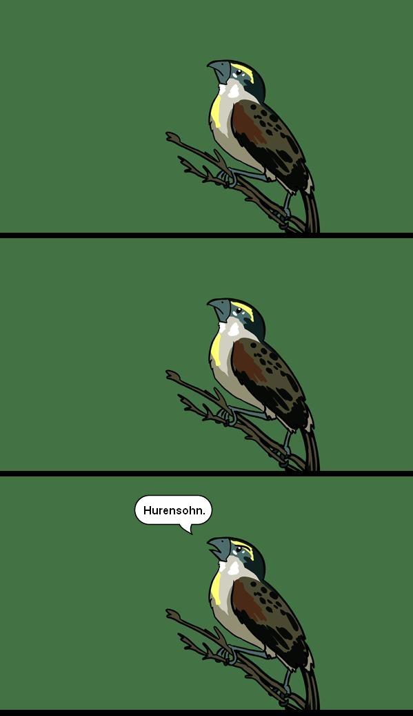 3l2qc2ny.jpg