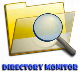 Cover: Directory Monitor Pro 2.16.0.1