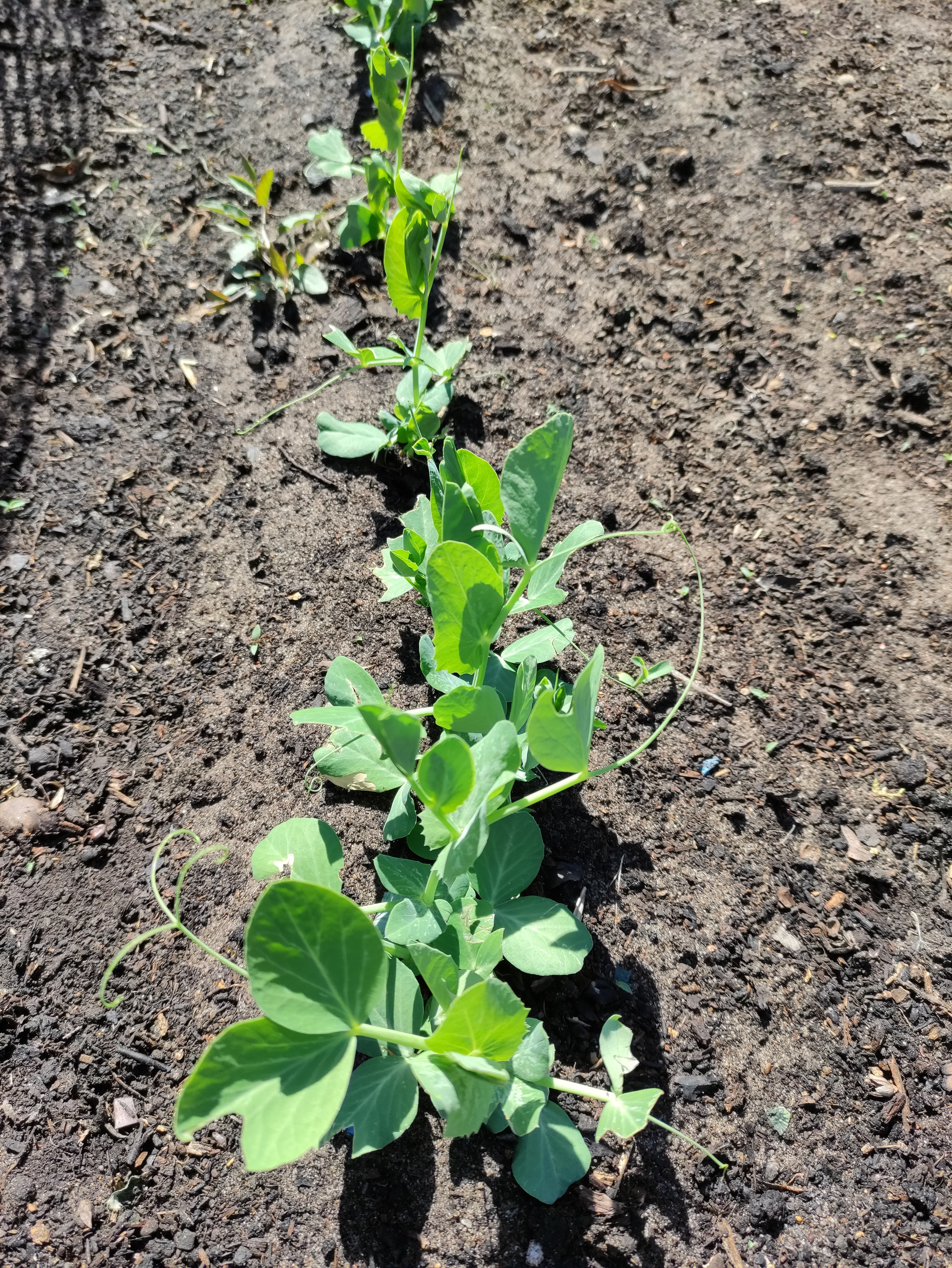 tasxt3qc.jpg