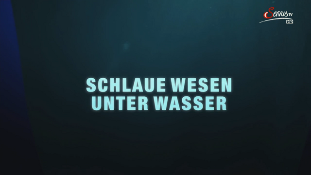 mmpuls7t.png