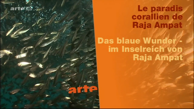 irjf7nv9.png