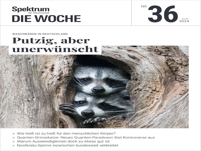 i786hue8.webp