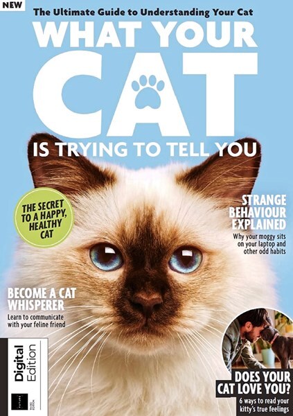 Lifestyle Bookazine What Your Cat Is Trying To Tell You Third Edition - 2024