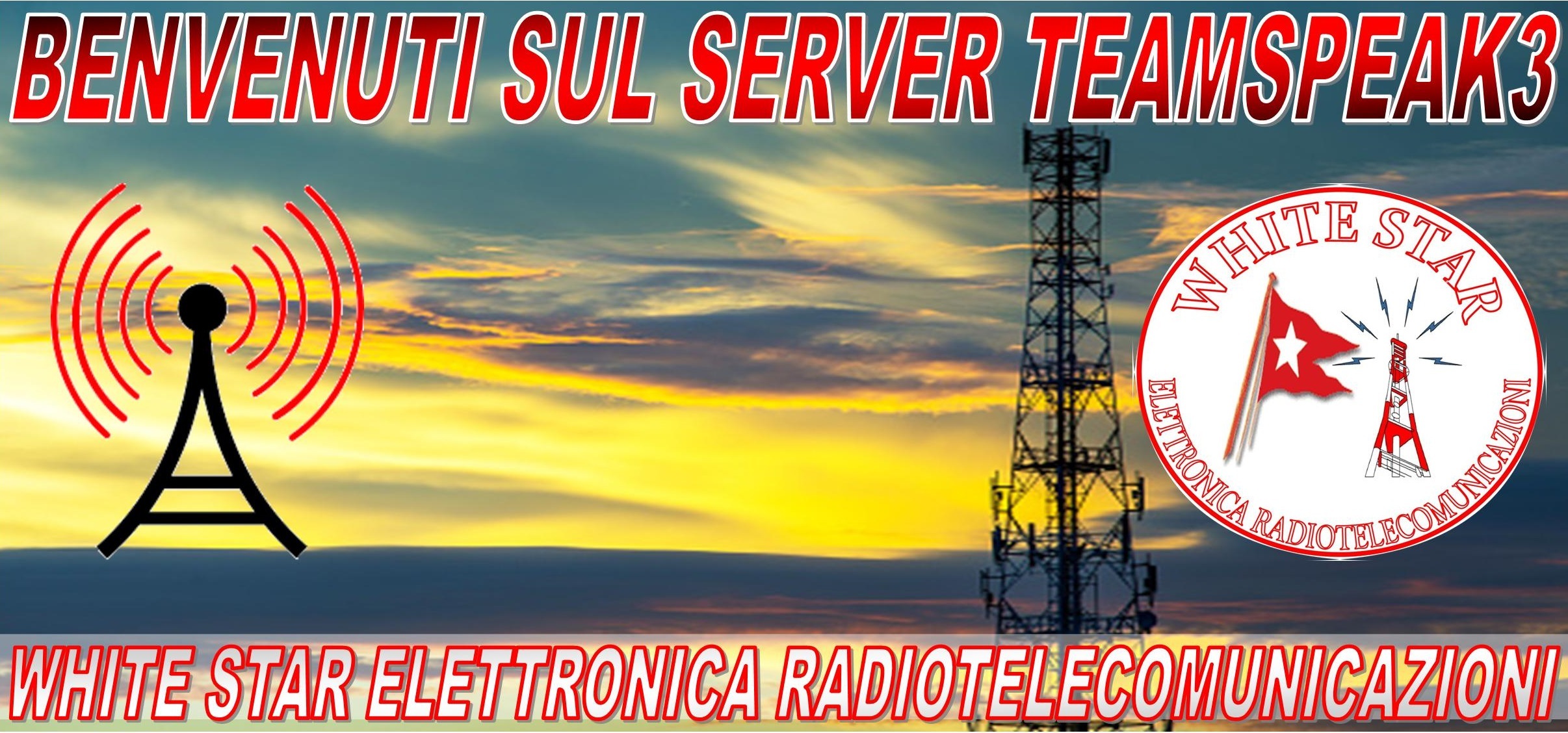 Server Banner